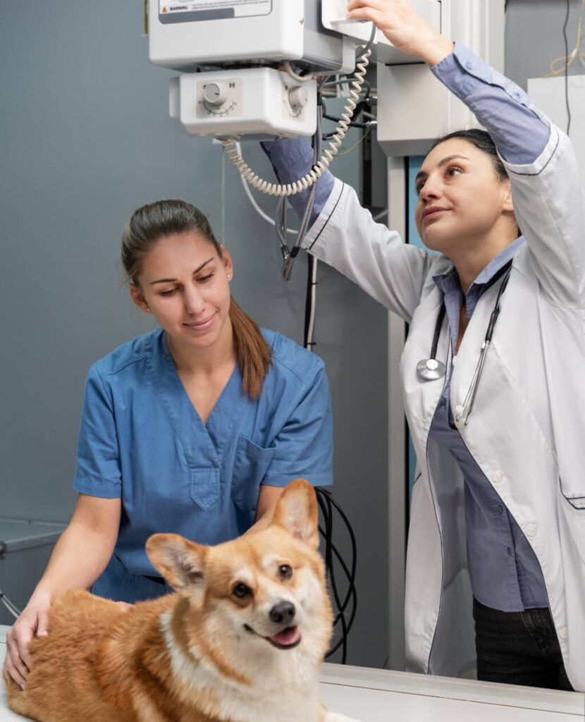 Az ellátás folyamata