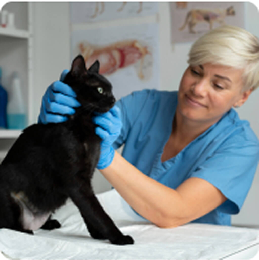 Dr. Horváth Daniella